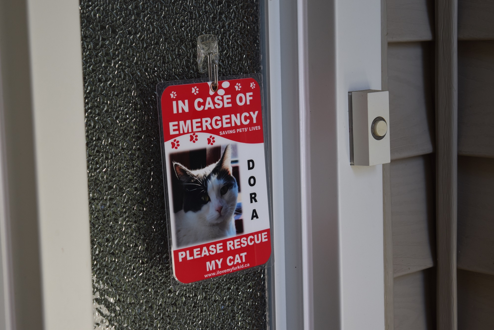 Glasgow - United Kingdom